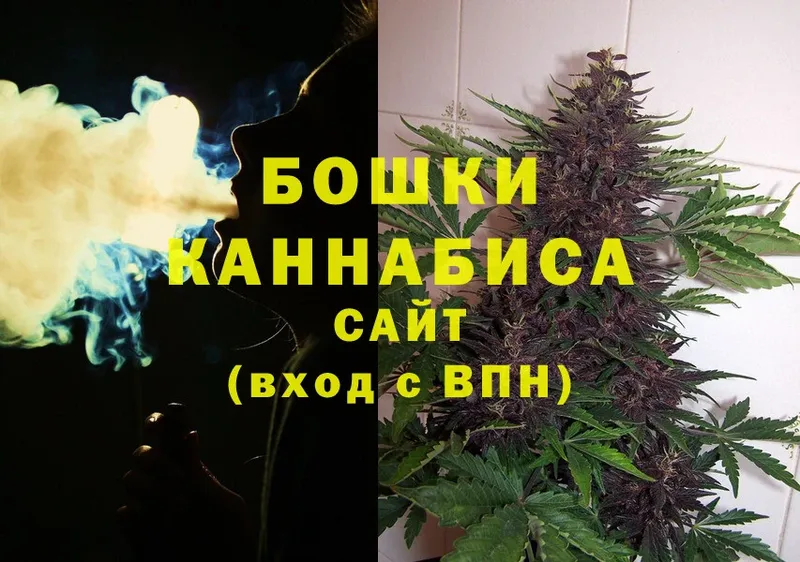 купить наркоту  Заозёрск  Каннабис индика 